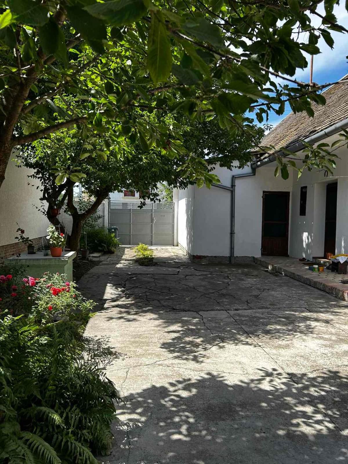 Oaza Mira Porodicna Kuca Za Opustanje Apatin Exterior foto